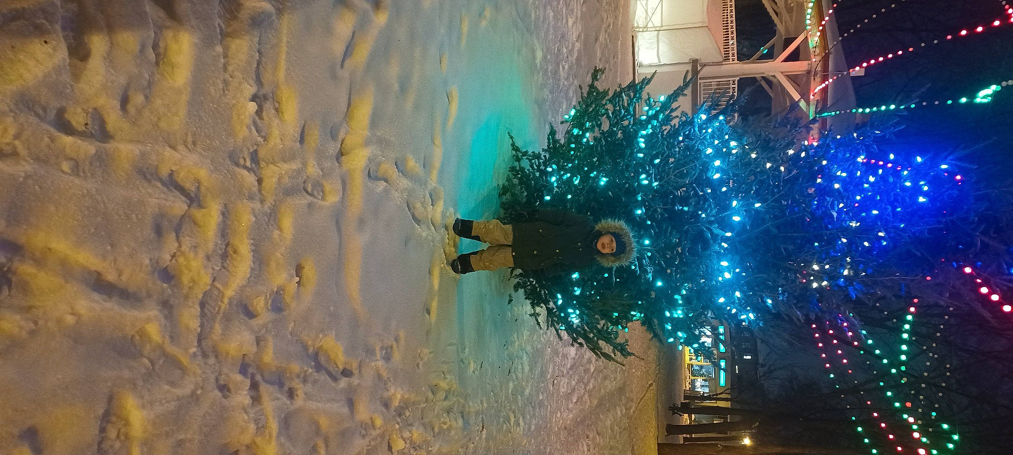 Malik a rejoint le concours — aidez-le/la à gagner de superbes lots ! art, azure, christmas, christmas_decoration, christmas_ornament, christmas_tree, electric_blue, electricity, event, fun, glass, headwear, holiday, ornament, person, plant, sky, space, street_light, tree