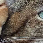 Lola a rejoint le concours — aidez-le/la à gagner de superbes lots !