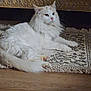 animal, cat, couch, domestic_cat, ears, floor, fluffy, fur, furniture, home, indoor, lying_down, mammal, patterned_rug, pet, pink_nose, relaxed, rug, whiskers, white_cat