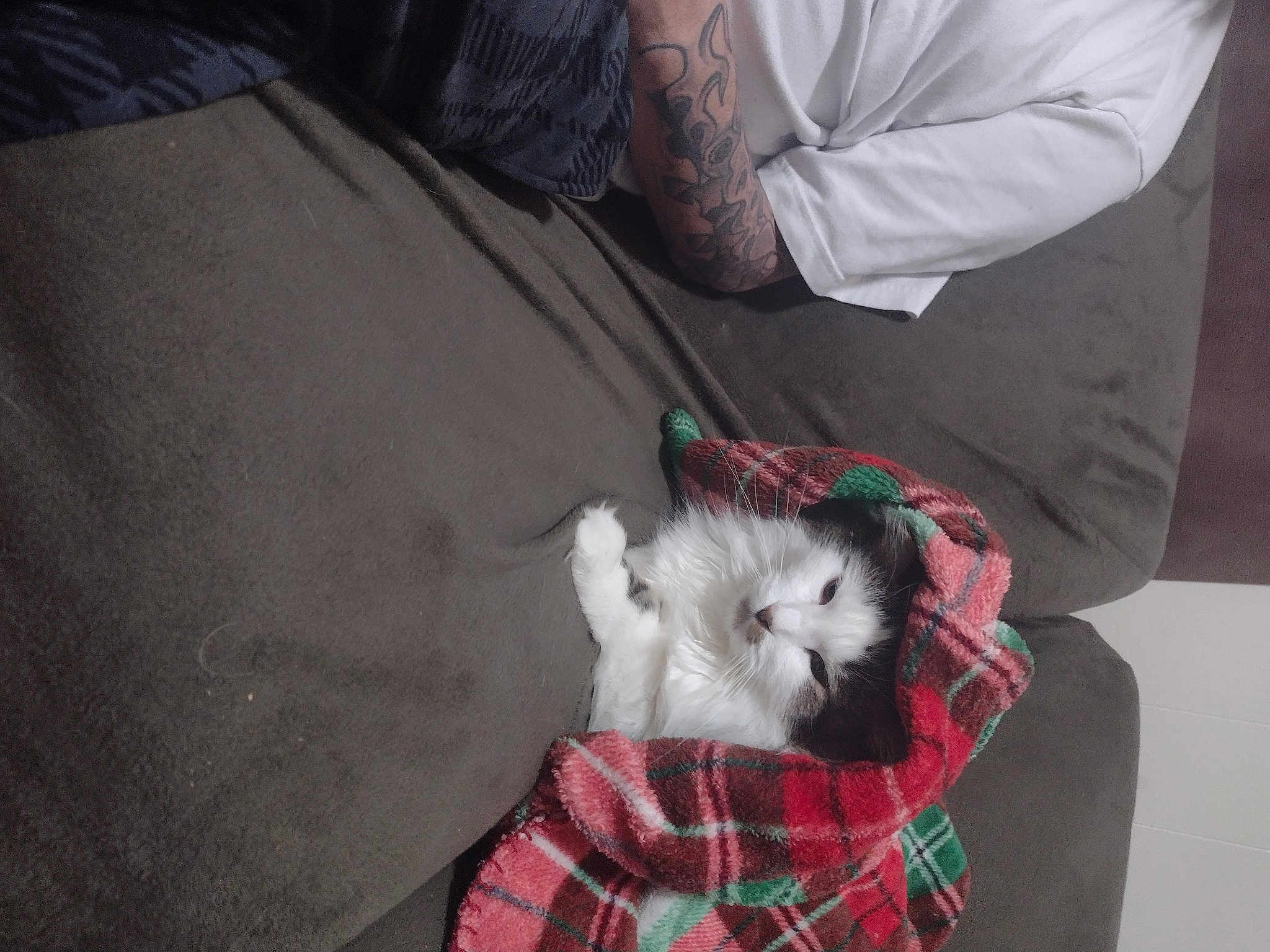 Olaf