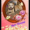 animal, butterfly, collar, cute, daisy, decoration, digital_art, dog, flower, flower_bouquet, grass, nature, outdoor, pet, pink_background, portrait, relaxing, rose, text_overlay, wooden_frame