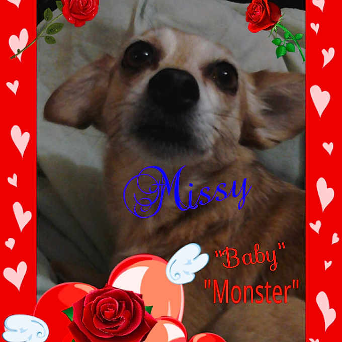 Missy Monster