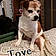 Tove