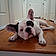 Petey