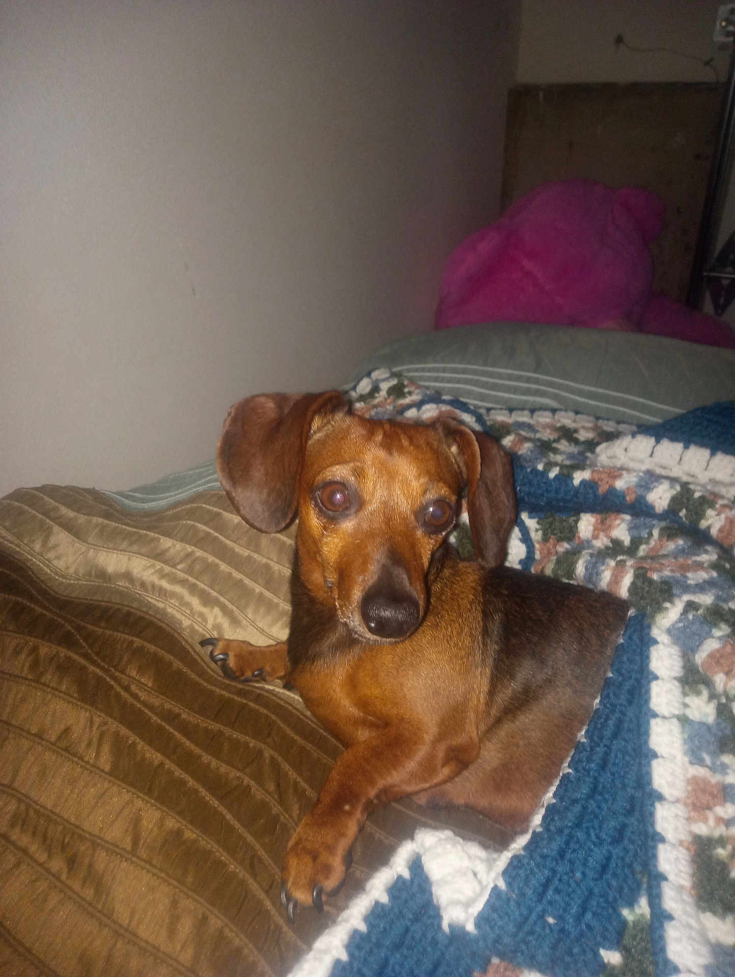 Frankie