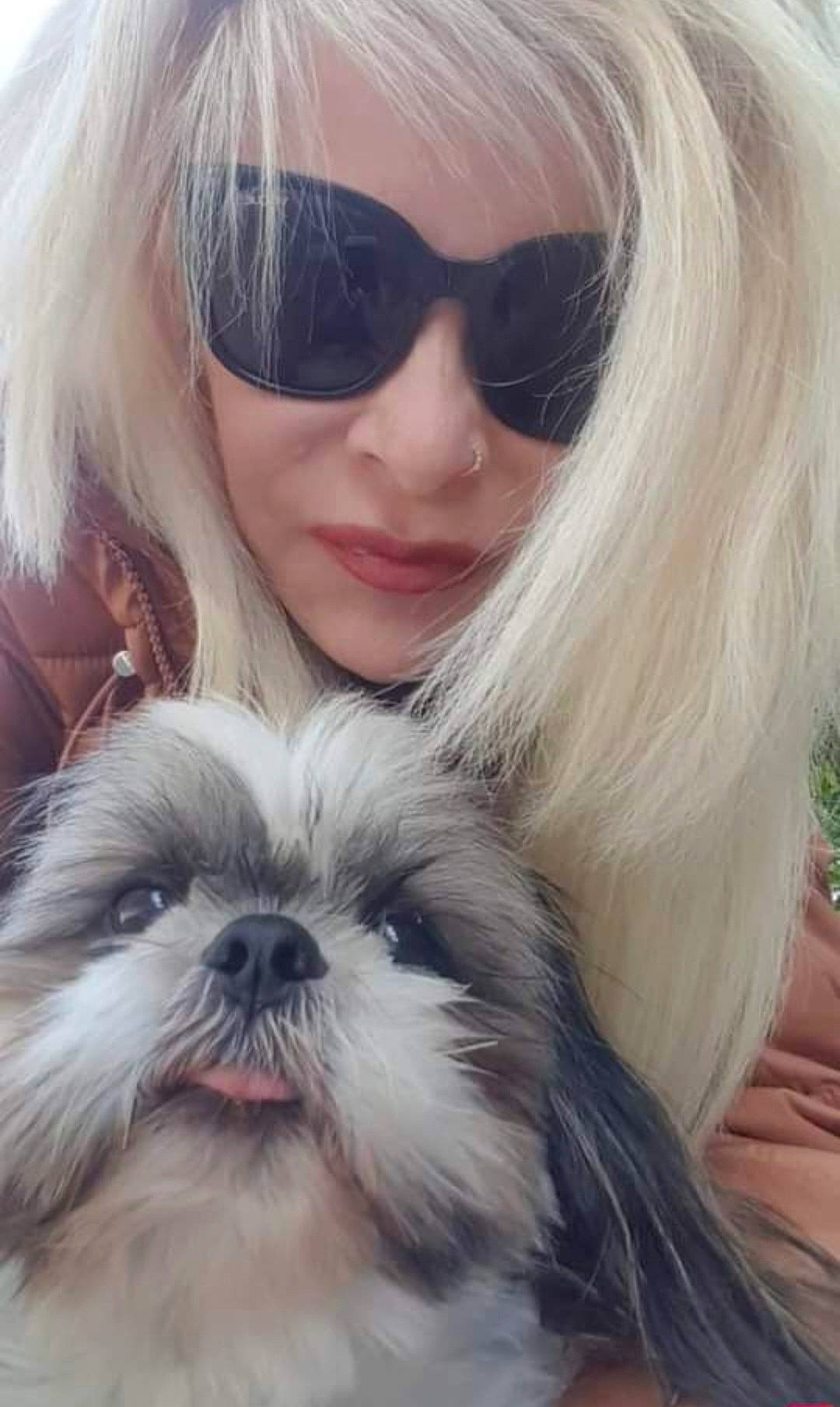Jack participe au concours pour gagner de l'argent avec cette photo : bangs, beauty, carnivore, companion_dog, dog, dog_breed, eyelash, eyewear, fawn, goggles, hair, happy, head, liver, mammal, snout, sunglasses, vision_care, white, working_animal