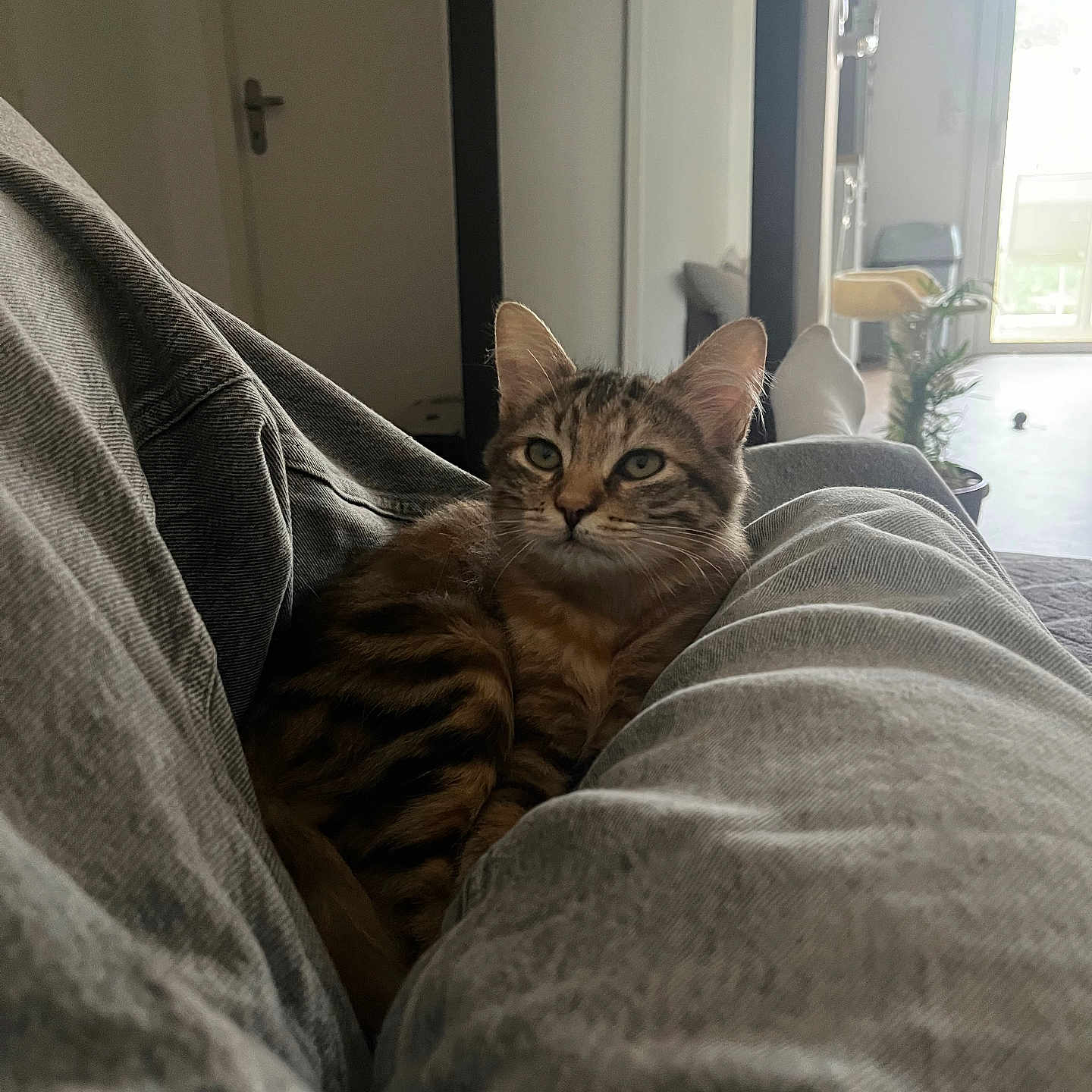 Seïka