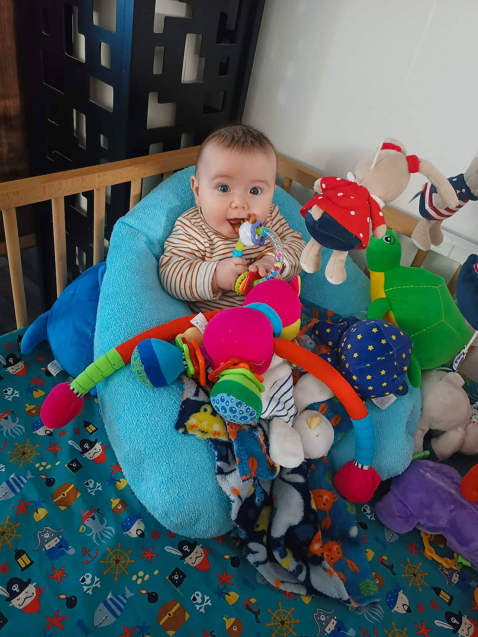 Martin participe au concours pour gagner de l'argent avec cette photo : baby, baby_products, baby_toddler_clothing, baby_toys, child, comfort, happy, holiday, lap, linens, pattern, person, play, plush, product, room, sitting, stuffed_toy, surprise, textile