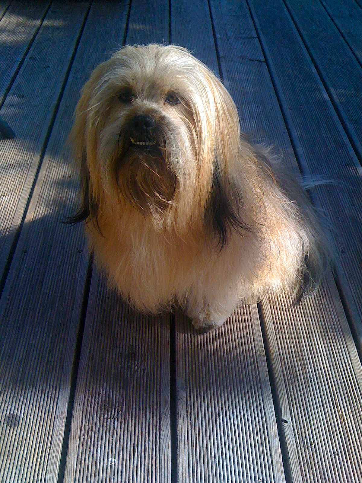 Dooguy a rejoint le concours — aidez-le/la à gagner de superbes lots !