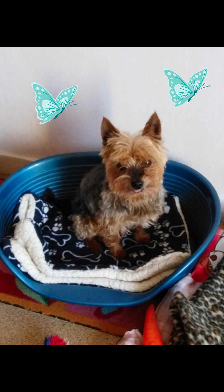 Cooper