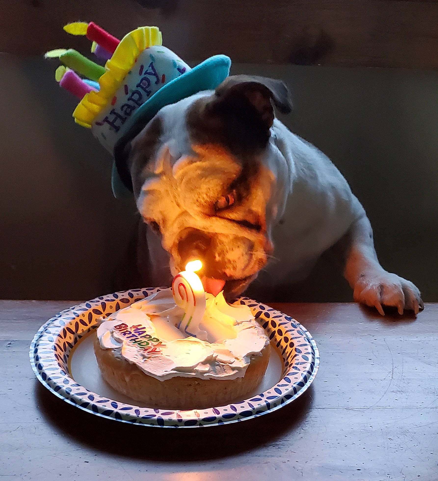 Ruby joined the competition — help win amazing prizes! baked_goods, birthday, birthday_cake, birthday_candle, buttercream, cake, cake_decorating, cake_decorating_supply, candle, cream, cuisine, dessert, dish, food, ingredient, kuchen, plate, recipe, sugar_cake, tableware