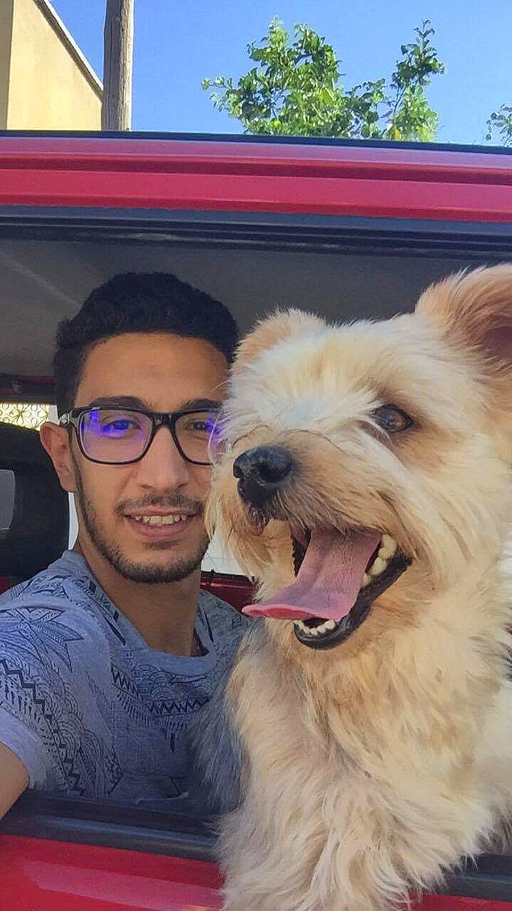 Liza a rejoint le concours — aidez-le/la à gagner de superbes lots ! cairn_terrier, companion_dog, dog, dog_breed, dog_breed_group, dog_like_mammal, fun, mammal, person, schnoodle, snout, terrier, vertebrate