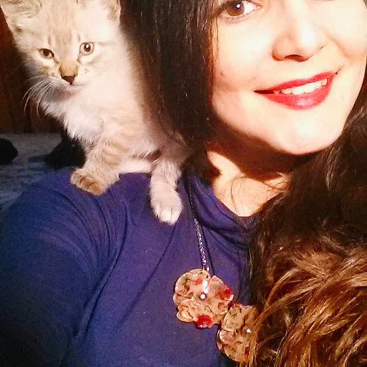 Bianco a rejoint le concours — aidez-le/la à gagner de superbes lots ! brown_hair, cat, cat_like_mammal, cheek, eye, fur, girl, hair, hairstyle, human_hair_color, joy, kitten, mammal, organ, person, selfie, skin, small_to_medium_sized_cats, smile, snapshot