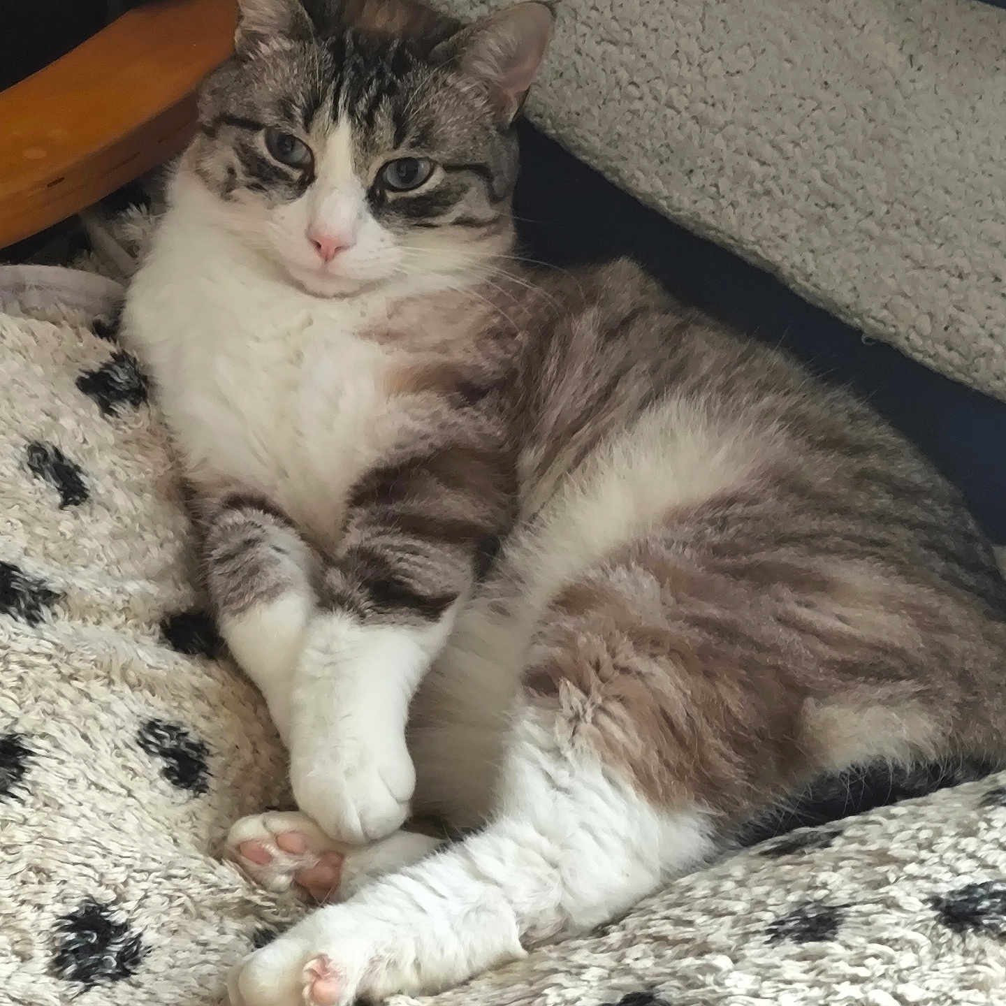Tino