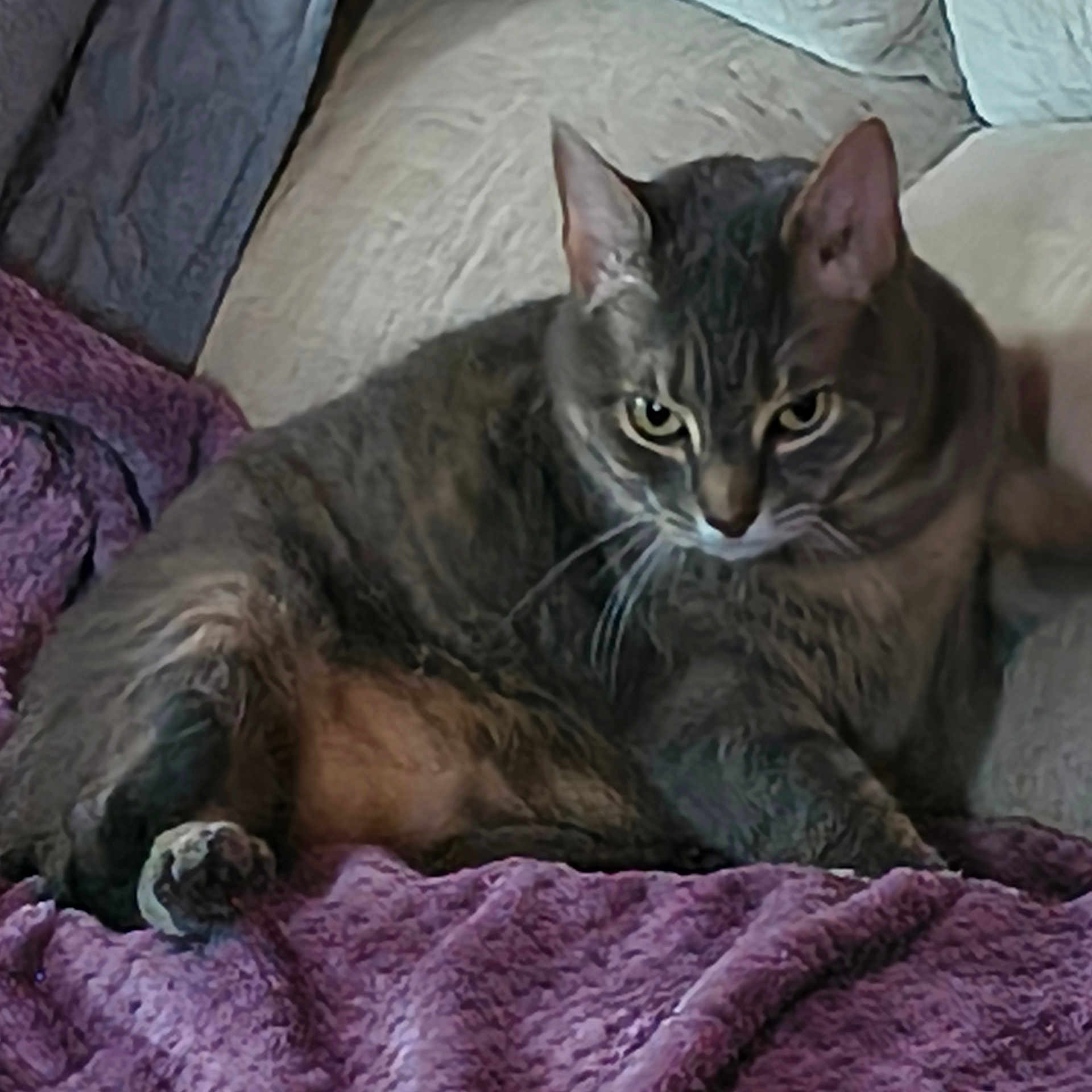 Sarah