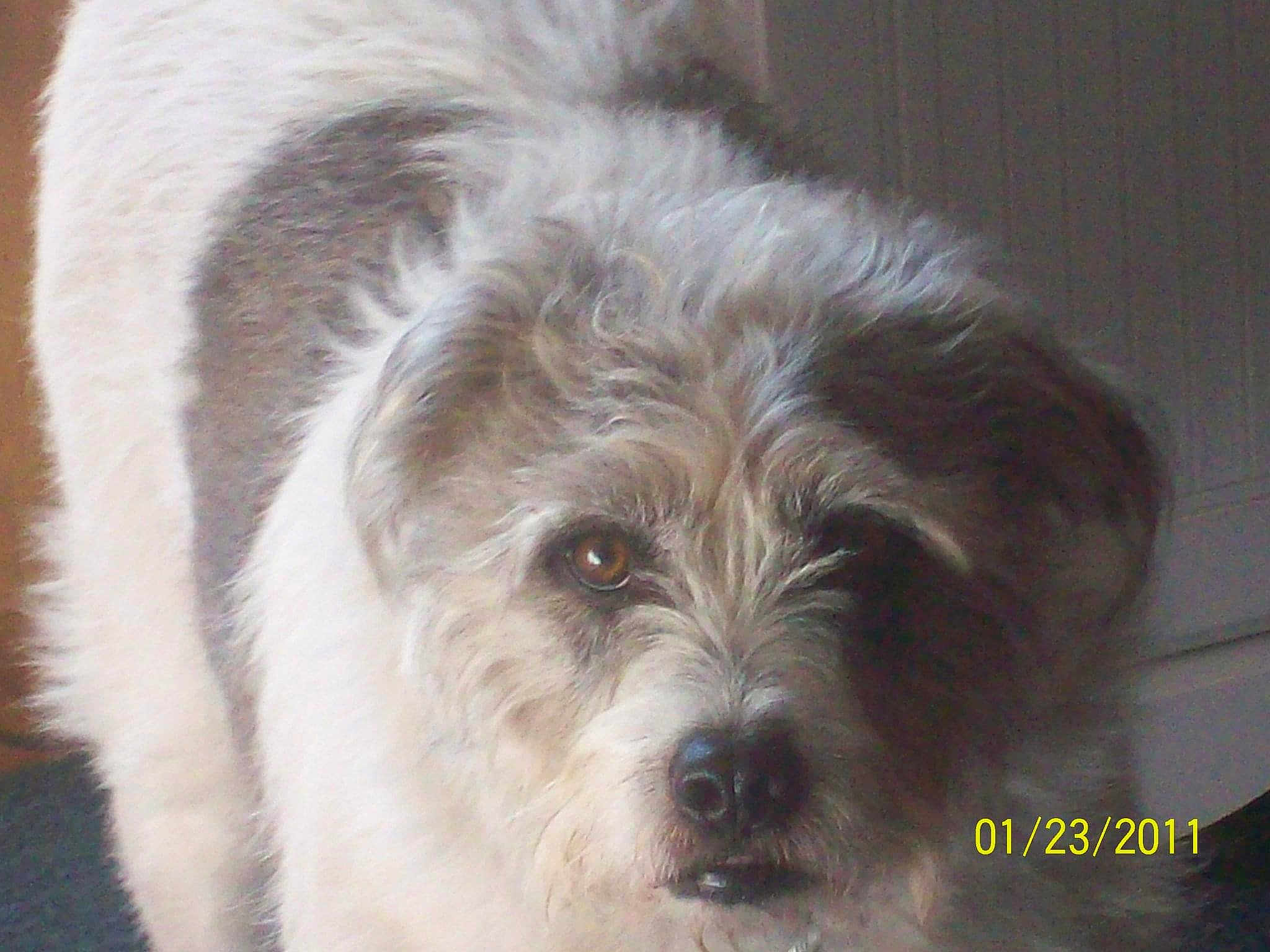 Jack