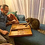 man, cat, backgammon, game, couch, pillow, indoor, curtain, table, smile, glasses, blue_shirt, brown_pants, brown_cat, board_game, wooden_board, playing, fun, home, relaxation
