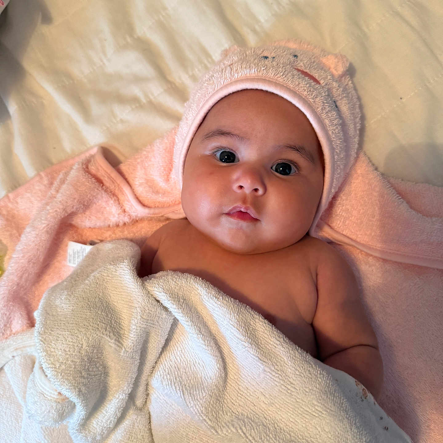 Hélia participe au concours pour gagner de l'argent avec cette photo : adorable, baby, bed, blanket, child, cute, expression, eyes, face, indoors, infant, laying, newborn, person, pink_hood, portrait, skin, soft, towel, warm