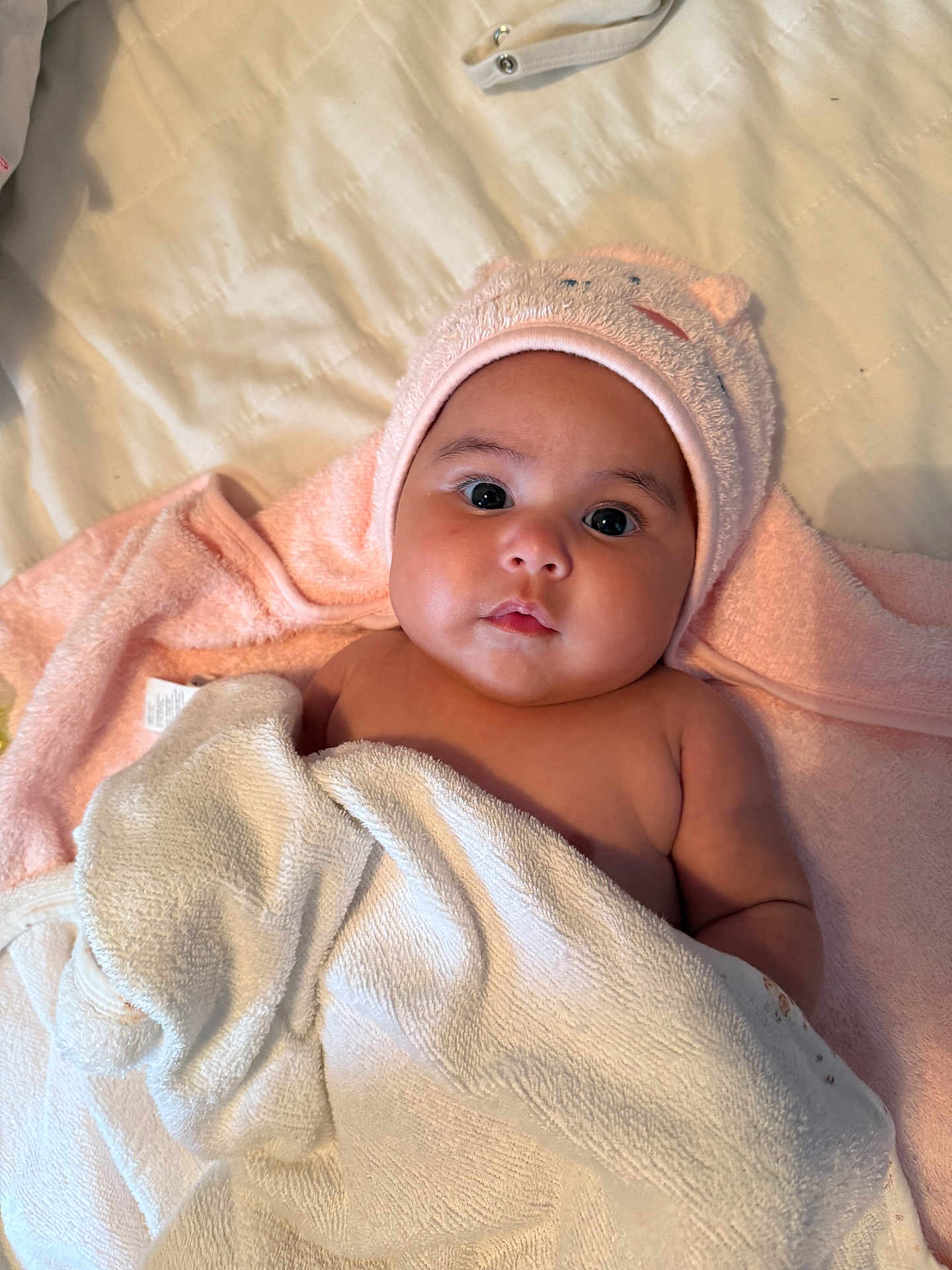 Hélia participe au concours pour gagner de l'argent avec cette photo : baby, infant, towel, pink_hood, bed, blanket, face, eyes, skin, cute, child, newborn, soft, warm, indoors, person, portrait, laying, expression, adorable