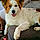 Charlie