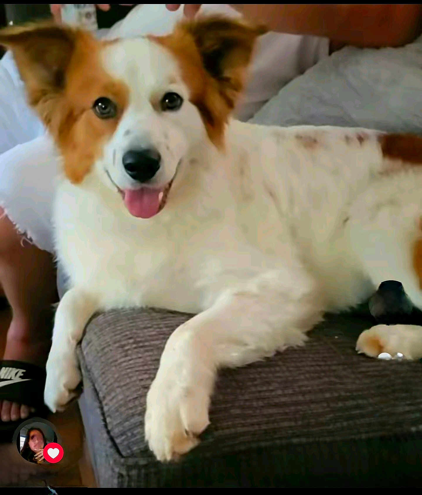 Charlie