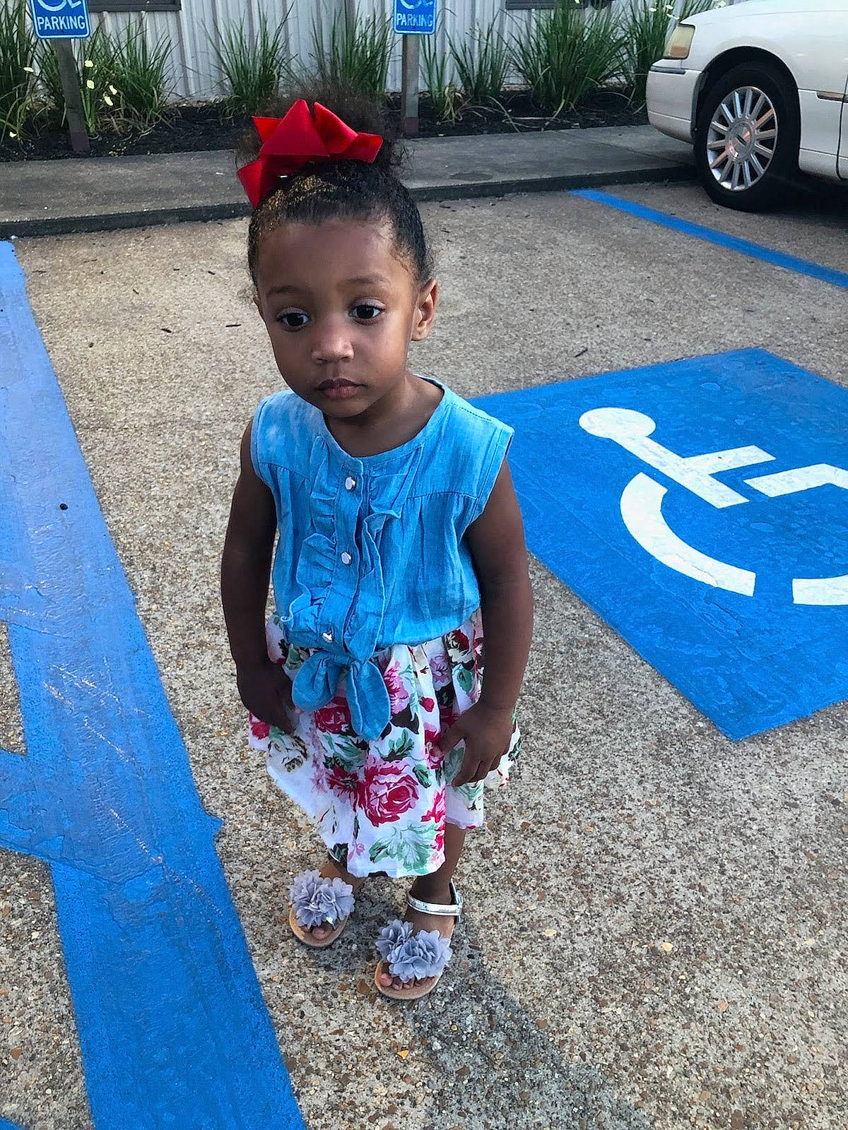 Morghan is registered to the contest to win money with this photo: car, child, fun, people, person, plant, play, public_space, recreation, shoe, smile, summer, t_shirt, toddler, vacation, vehicle