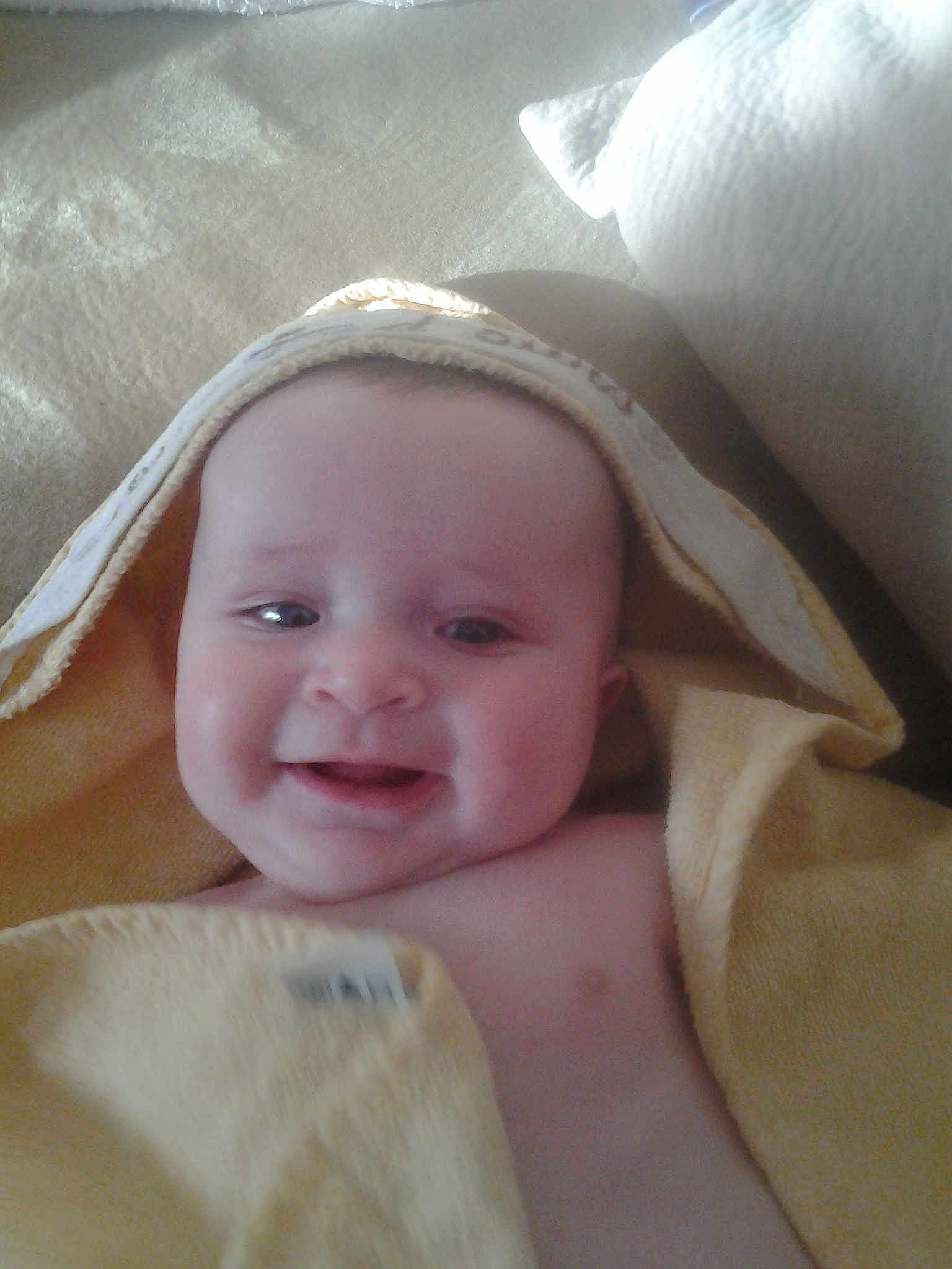 Louann