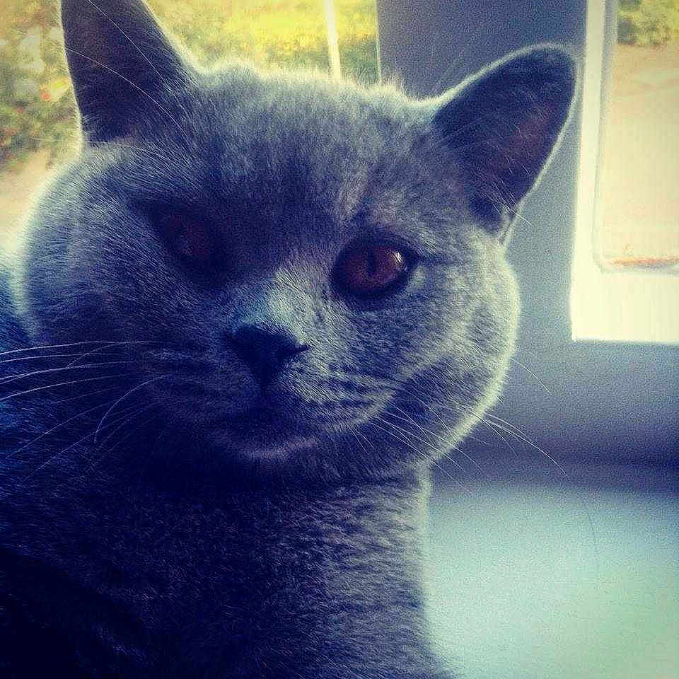 Roley is registered to the contest to win money with this photo: