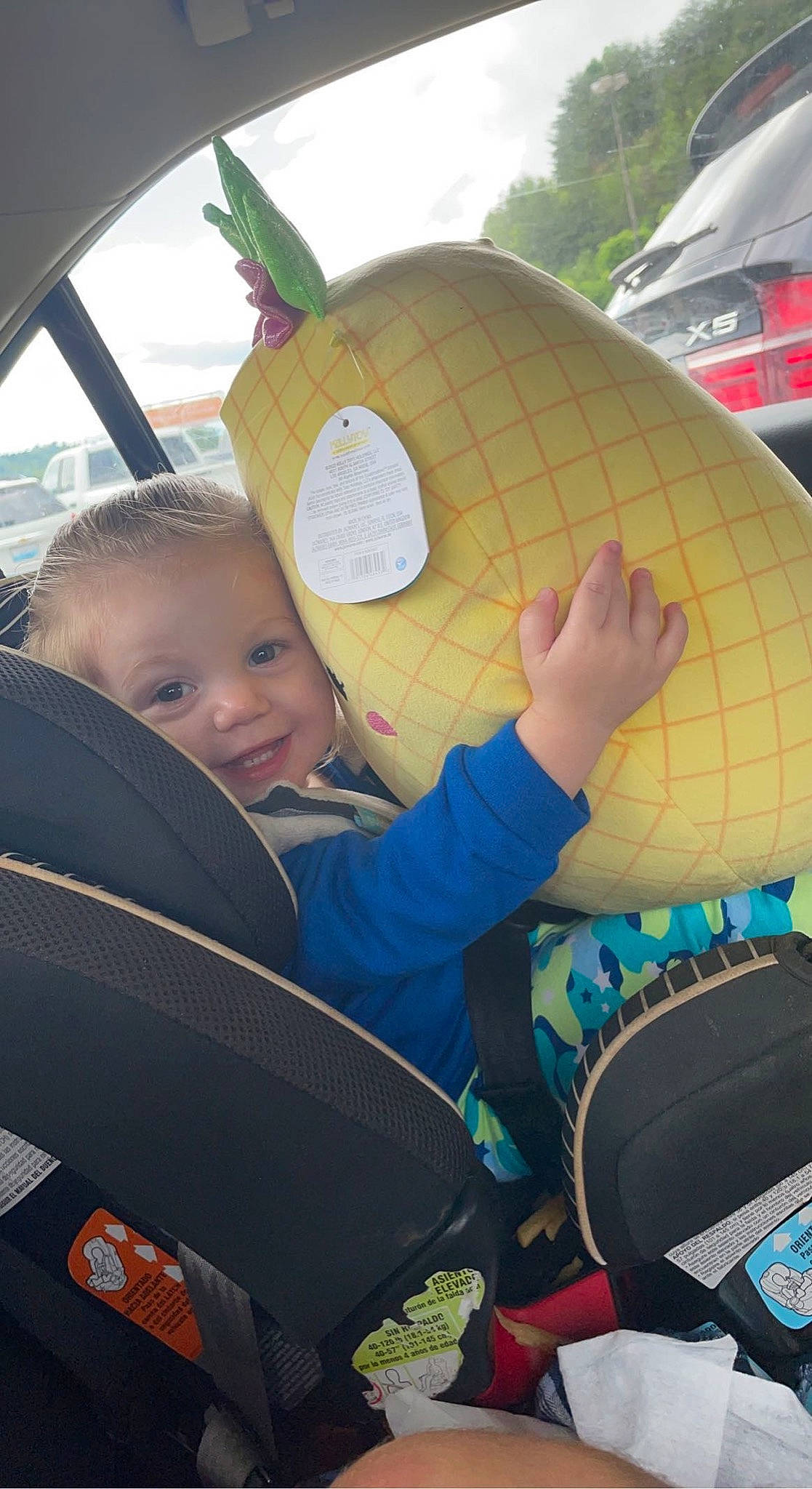Alexandria is registered to the contest to win money with this photo: automotive_design, automotive_exterior, car_seat, car_seat_cover, child, comfort, cool, fun, grass, happy, leisure, motor_vehicle, person, plant, recreation, summer, toddler, toy, travel, tree