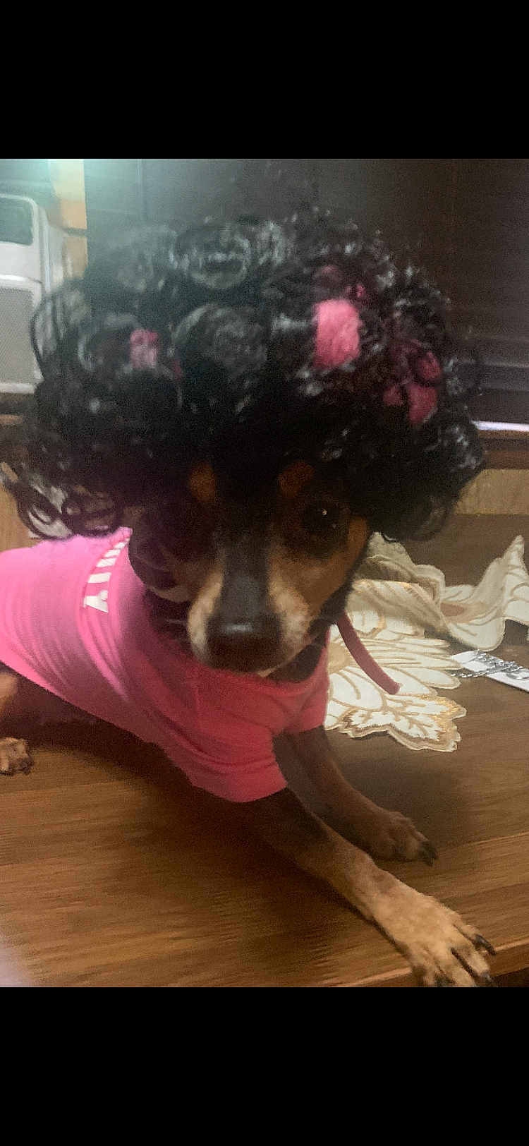 Lilbit
