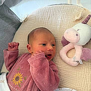 Méline a rejoint le concours — aidez-le/la à gagner de superbes lots ! newborn, baby, infant, plush_toy, unicorn, blanket, cushion, pink_clothing, flower_print, indoor, soft_toys, cute, sleeping_area, baby_garments, pacifier, toddler, hand, face, portrait, resting