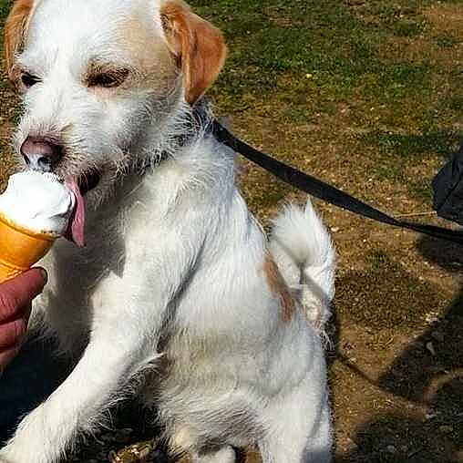Marley is registered to the contest to win money with this photo: