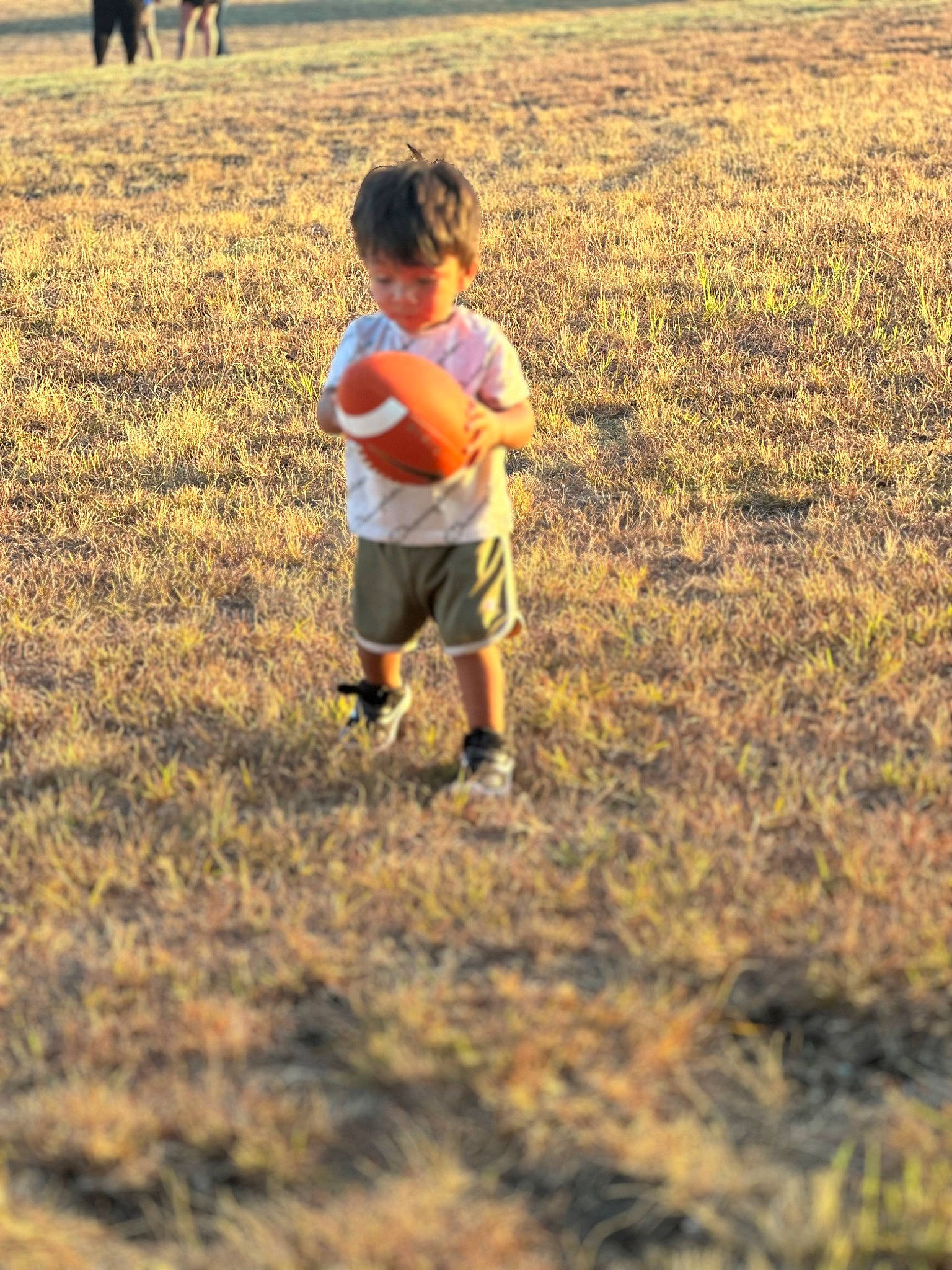 Hendrix is registered to the contest to win money with this photo: child, field, fun, grass, grassland, happy, horizon, landscape, leisure, meadow, people_in_nature, person, plain, plant, prairie, recreation, rural_area, sand, shorts, standing