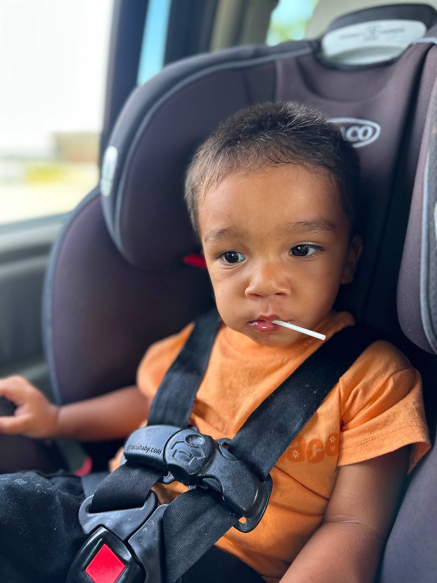 Hendrix joined the competition — help win amazing prizes! auto_part, automotive_design, baby, baby_carriage, car, car_seat, car_seat_cover, child, comfort, family_car, head_restraint, luxury_vehicle, motor_vehicle, passenger, person, seat_belt, sitting, steering_part, steering_wheel, toddler