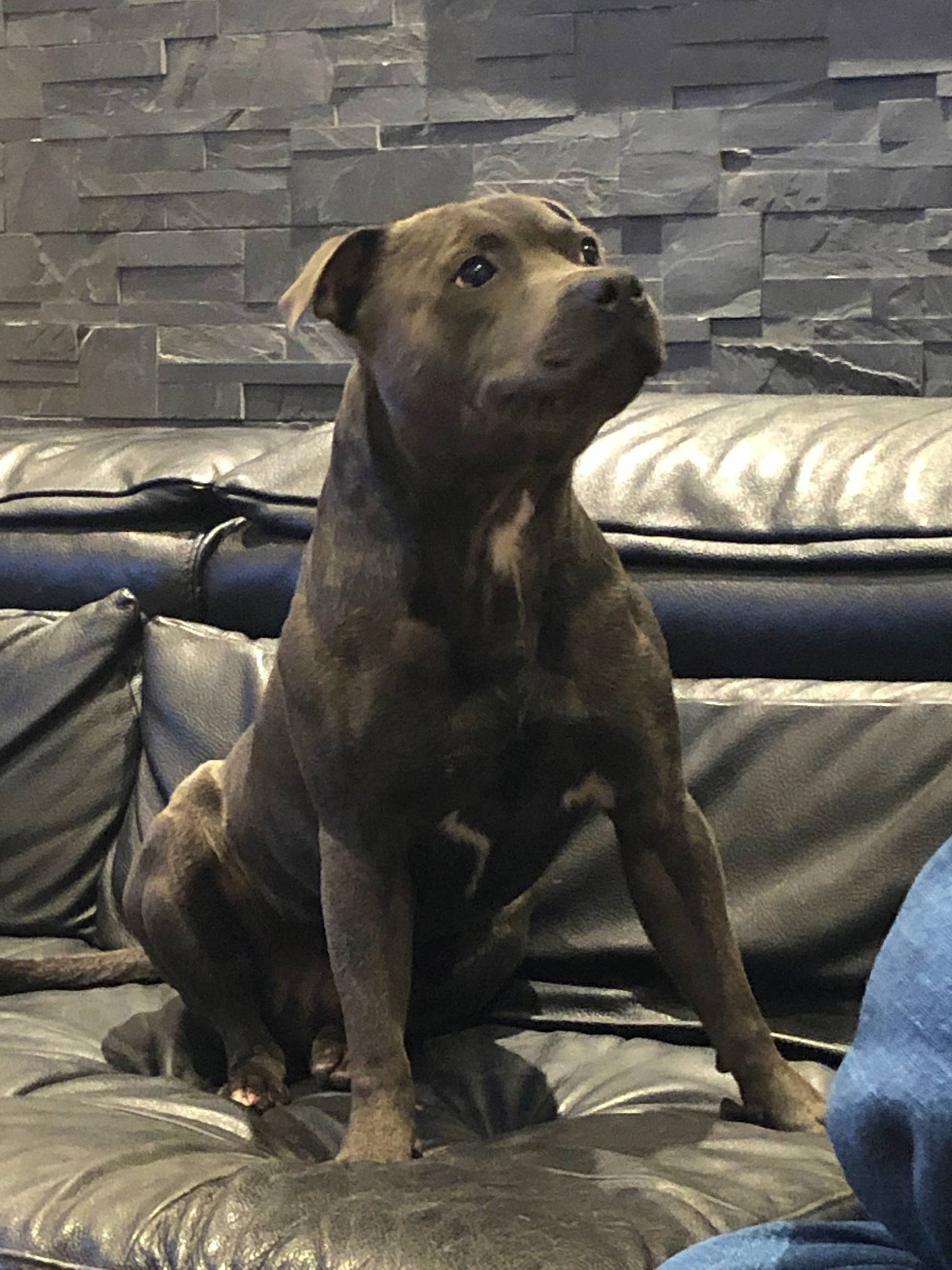 Oskar