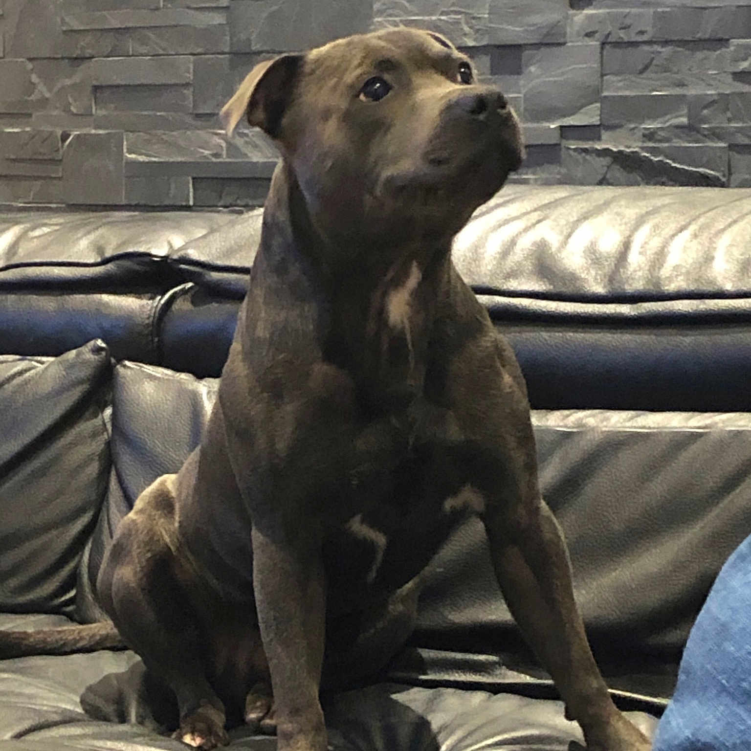 Oskar