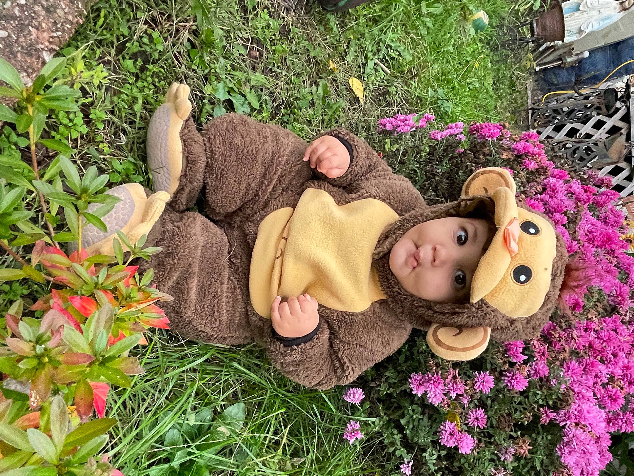 Chandler is registered to the contest to win money with this photo: annual_plant, fawn, floral_design, flower, garden, grass, happy, headwear, lawn_ornament, leaf, leisure, magenta, mammal, people_in_nature, person, petal, pink, plant, shrub, spring