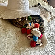 Jackson joined the competition — help win amazing prizes! cat, tabby_cat, hat, white_hat, toy, knitted_toy, pom_pom, blanket, bed, indoor, relaxed, pet, animal, feline, lying_down, colorful, texture, cozy, curious, close_up