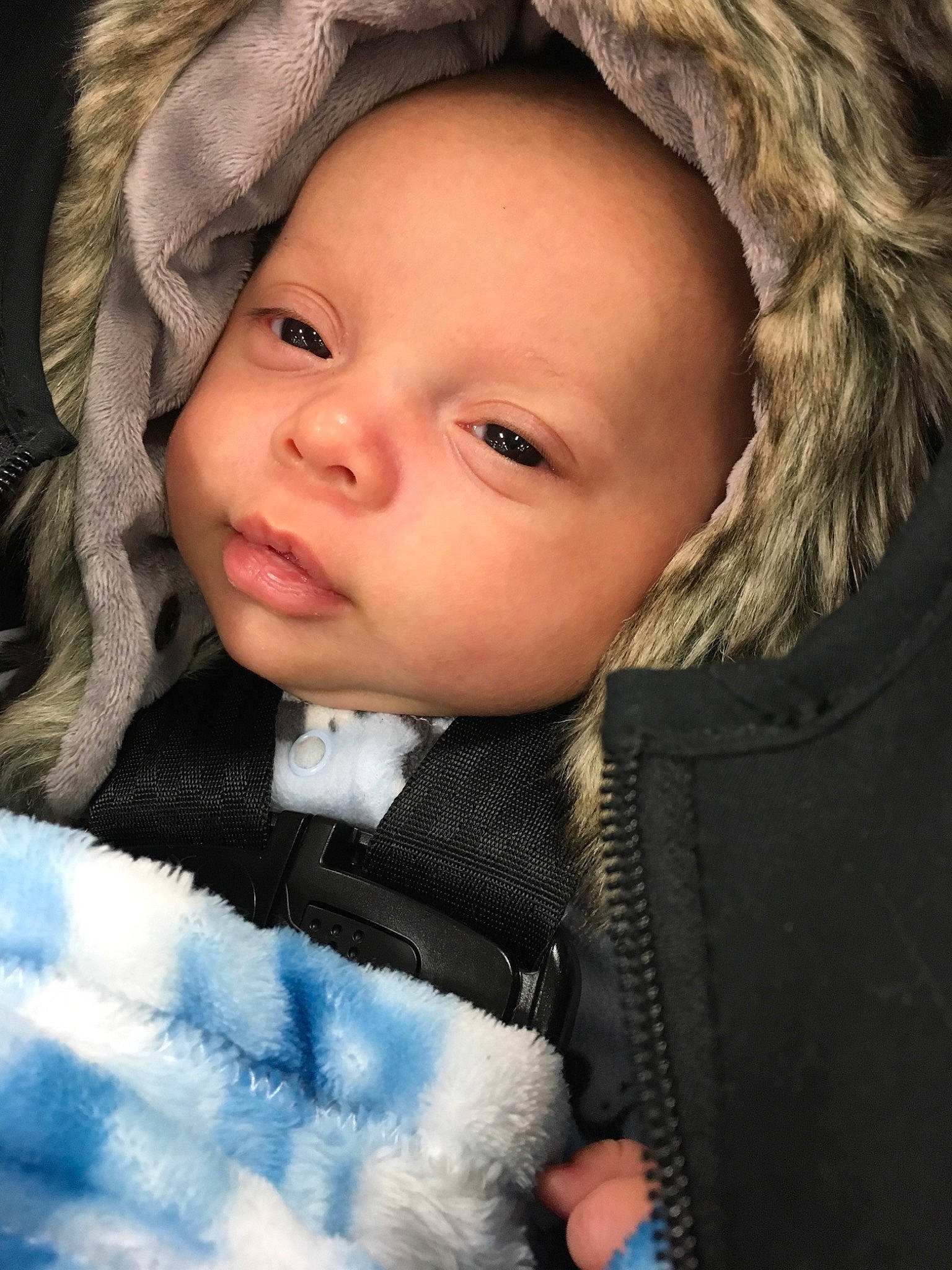 Jayvion is registered to the contest to win money with this photo: beauty, cheek, child, child_model, eye, fur, girl, head, infant, person, portrait_photography, toddler