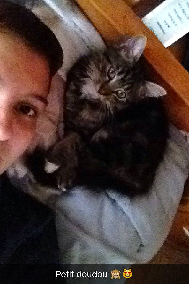 Filou participe au concours pour gagner de l'argent avec cette photo : beard, carnivore, cat, cloud, comfort, domestic_short_haired_cat, ear, felidae, fur, gesture, happy, hardwood, lap, paw, selfie, small_to_medium_sized_cats, snout, tail, whiskers, wood