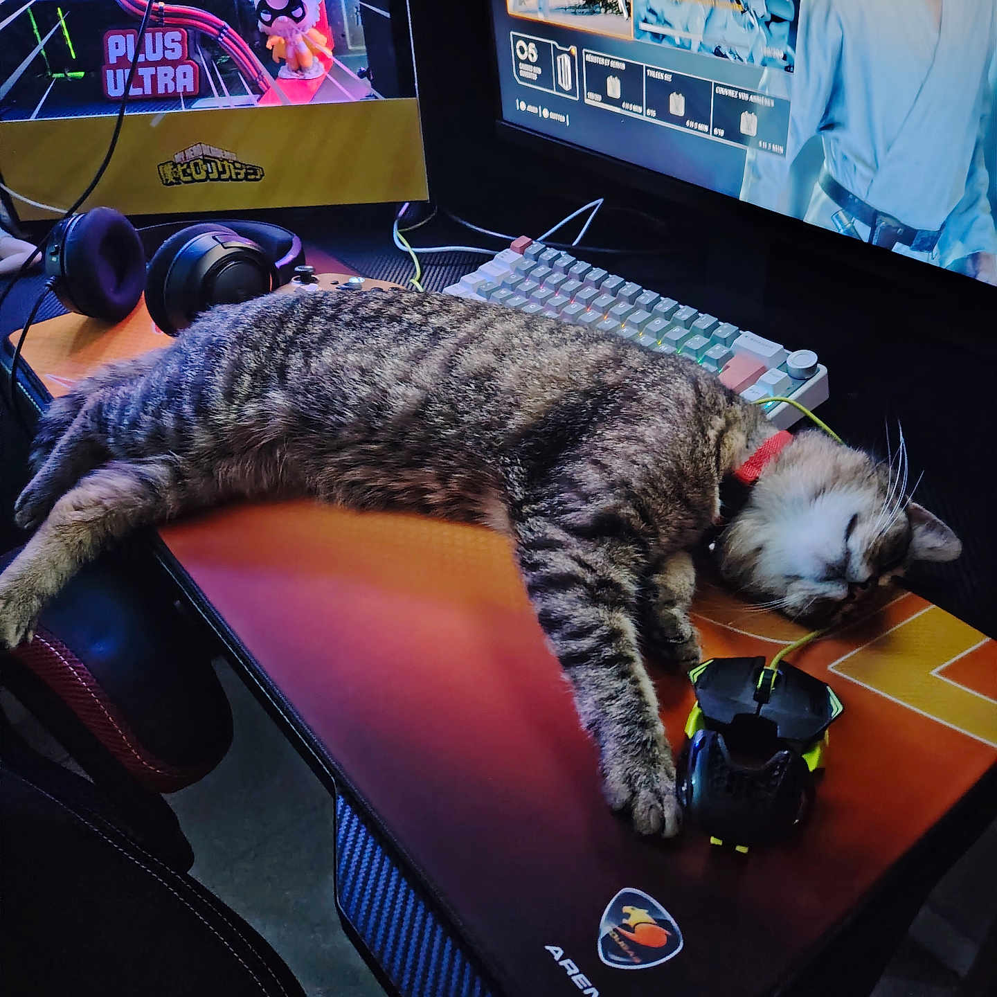 Poupouille a rejoint le concours — aidez-le/la à gagner de superbes lots ! cat, tabby_cat, sleeping, gaming_desk, keyboard, computer_mouse, headphones, monitor, rgb_lighting, gaming_setup, desk, chair, computer_tower, cable, mousepad, indoor, pet, relaxed, technology, electronics