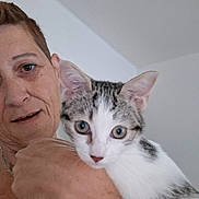 Naruto a rejoint le concours — aidez-le/la à gagner de superbes lots ! person, cat, indoor, close_up, face, animal, pet, holding, white, gray, tabby, looking, curious, portrait, skin, short_hair, ear, nose, eye, hand