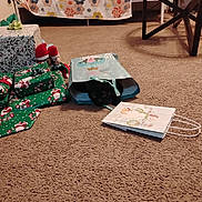 Spooky joined the competition — help win amazing prizes! cat, black_cat, gift_bag, carpet, presents, christmas, holiday, bed, blanket, table, indoor, cozy, floor, wrapped_presents, decorations, playful, pet, animal, cute, hiding