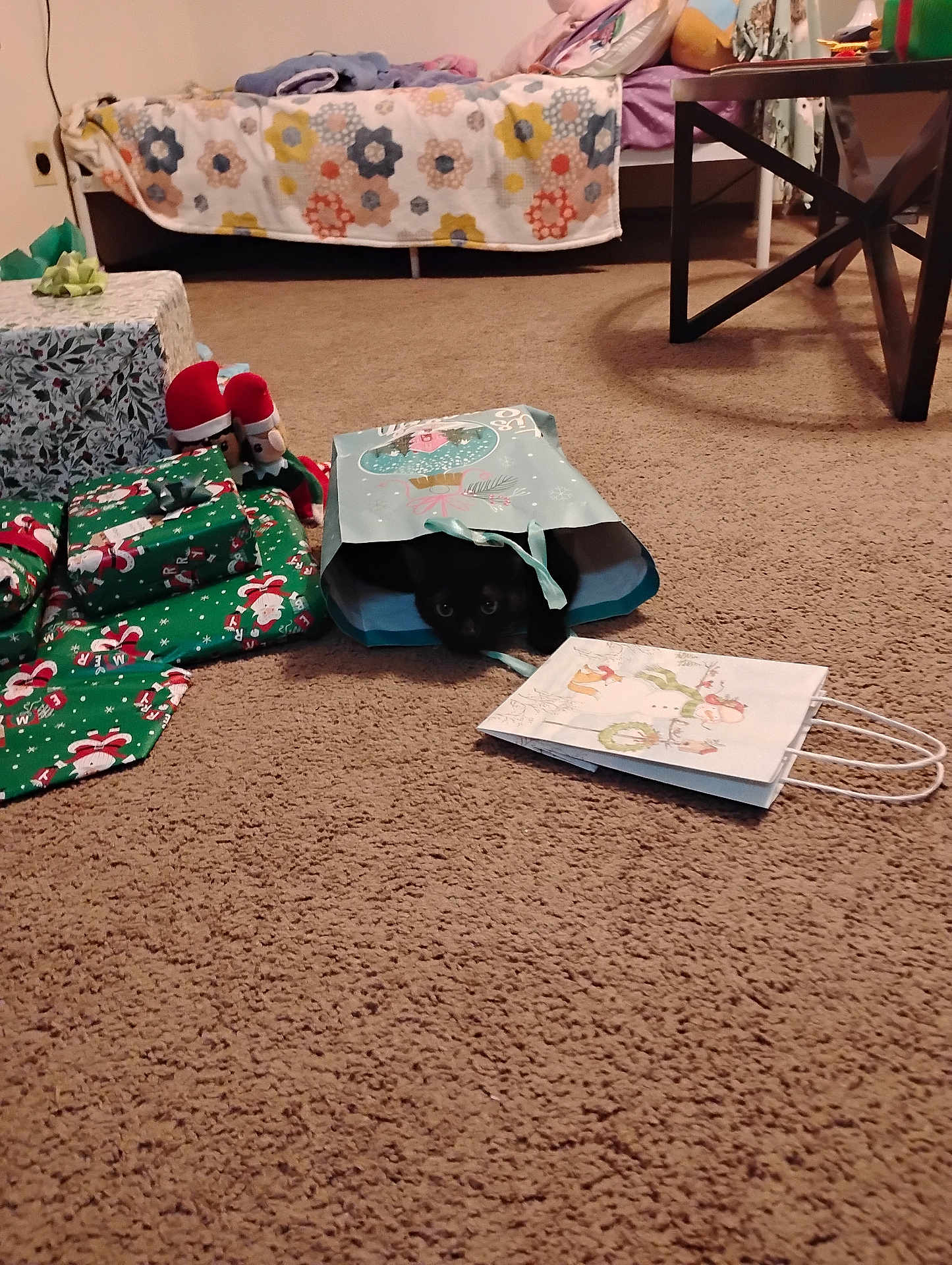 Spooky joined the competition — help win amazing prizes! cat, black_cat, gift_bag, carpet, presents, christmas, holiday, bed, blanket, table, indoor, cozy, floor, wrapped_presents, decorations, playful, pet, animal, cute, hiding