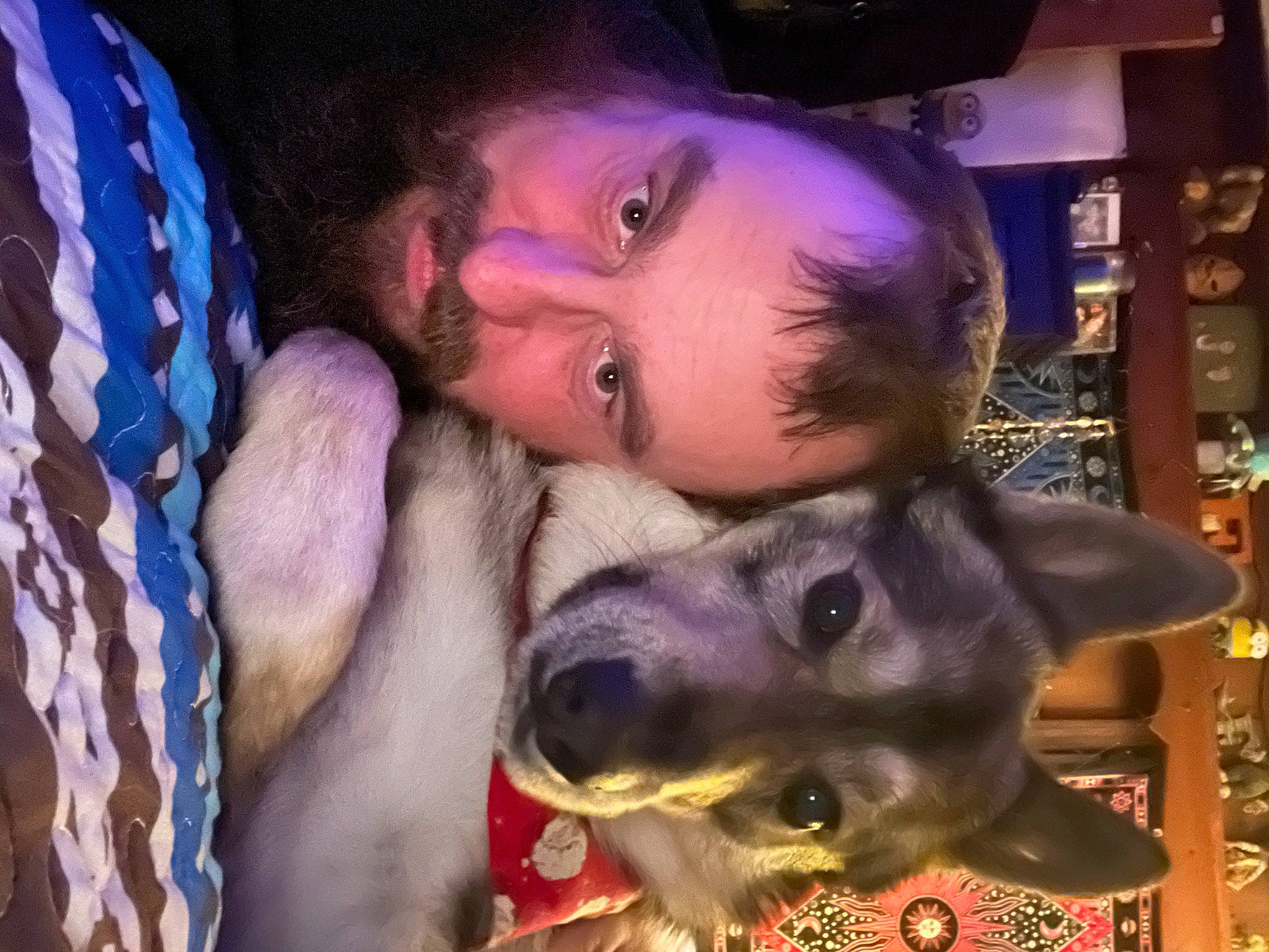 Zues joined the competition — help win amazing prizes! canidae, carnivore, companion_dog, dog, dog_breed, event, fawn, fun, fur, happy, leisure, night, nose, purple, recreation, selfie, sporting_group, tree, working_animal