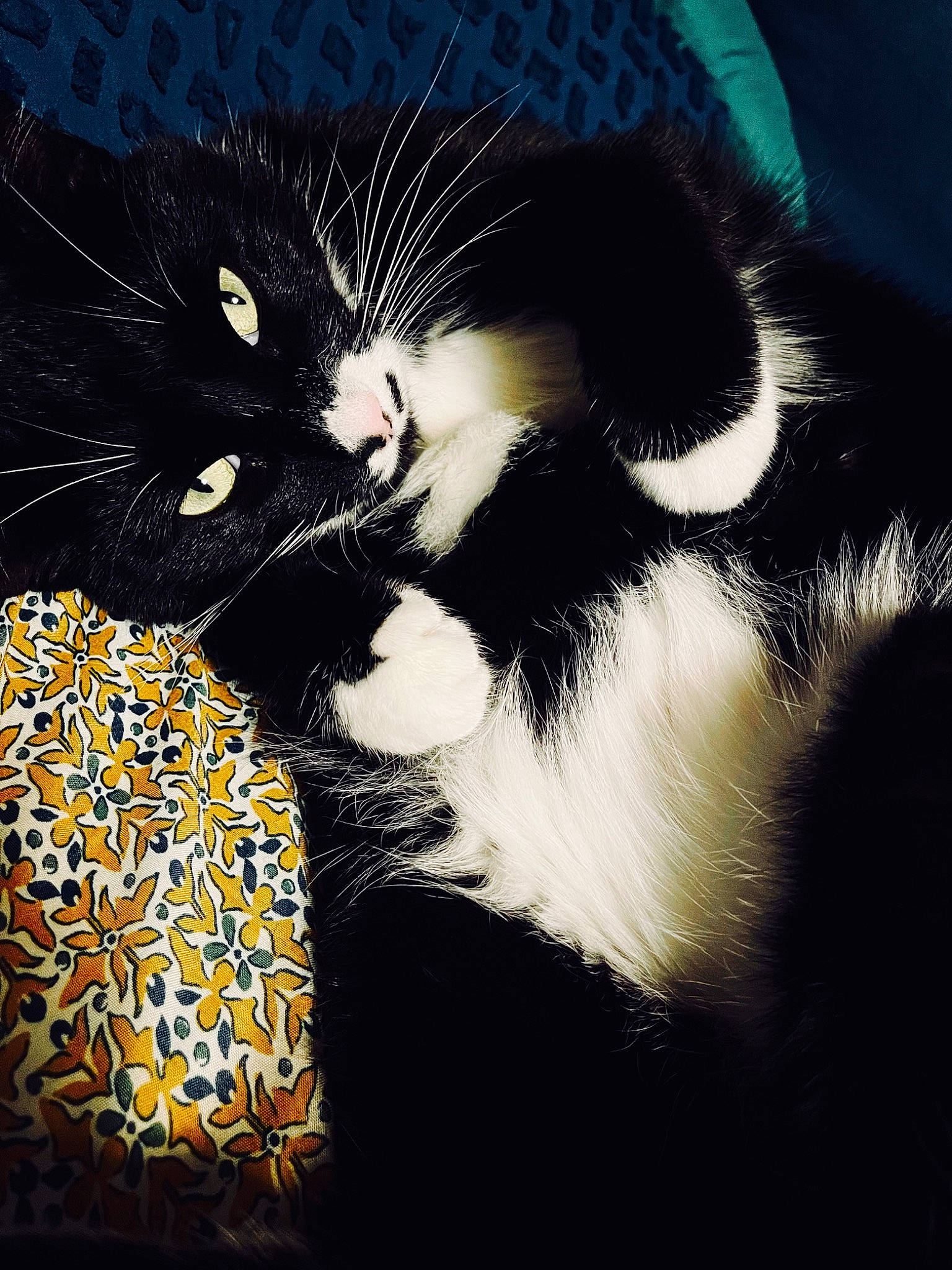 Sir Buddy Hutchinson