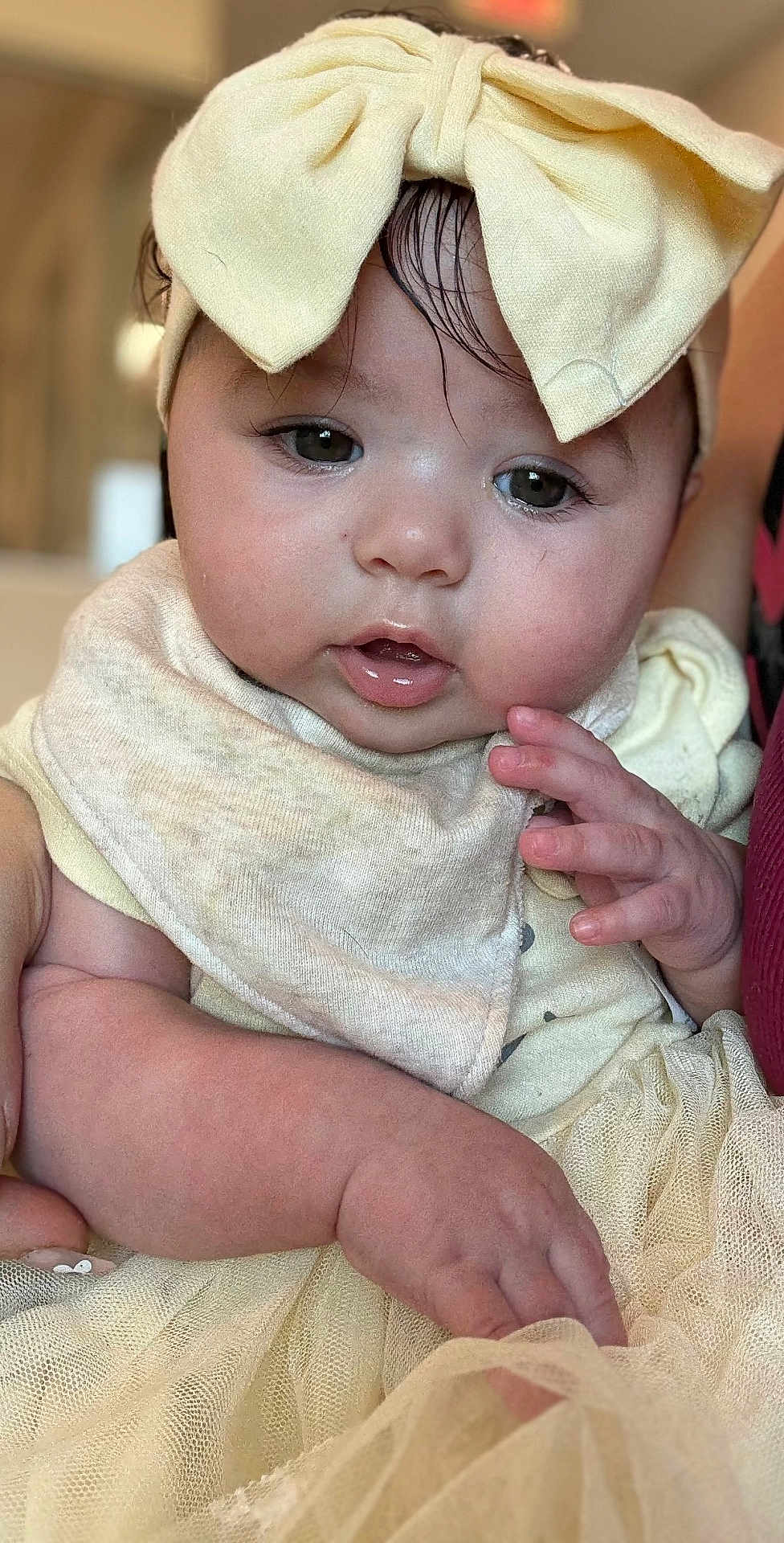 Paisley is registered to the contest to win money with this photo: baby, child, face, headband, yellow_bow, bib, hand, skin, expression, closeup, portrait, soft_lighting, tulle, fabric, cute, infant, apparel, clothing, indoor, person