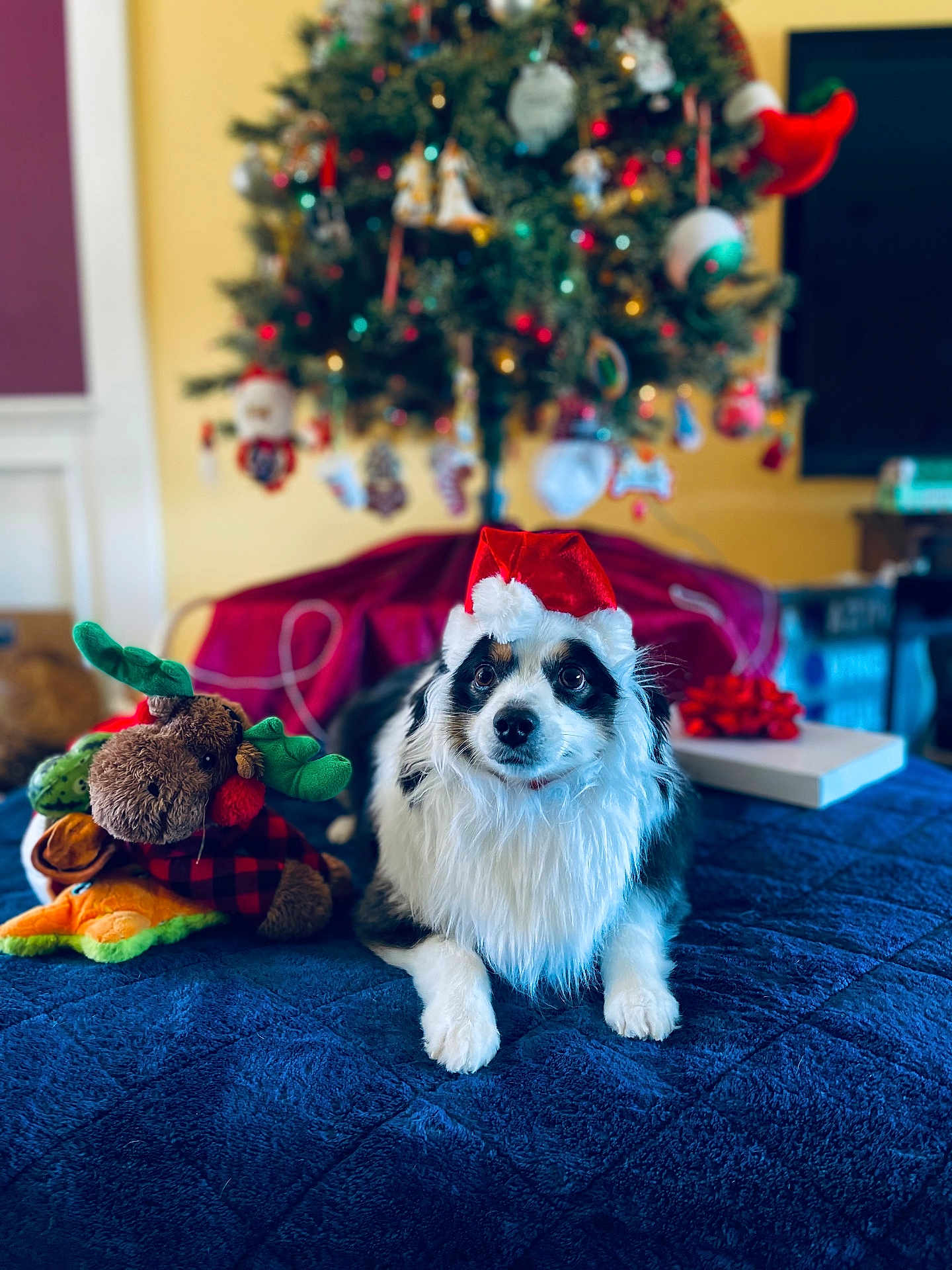 Oliver