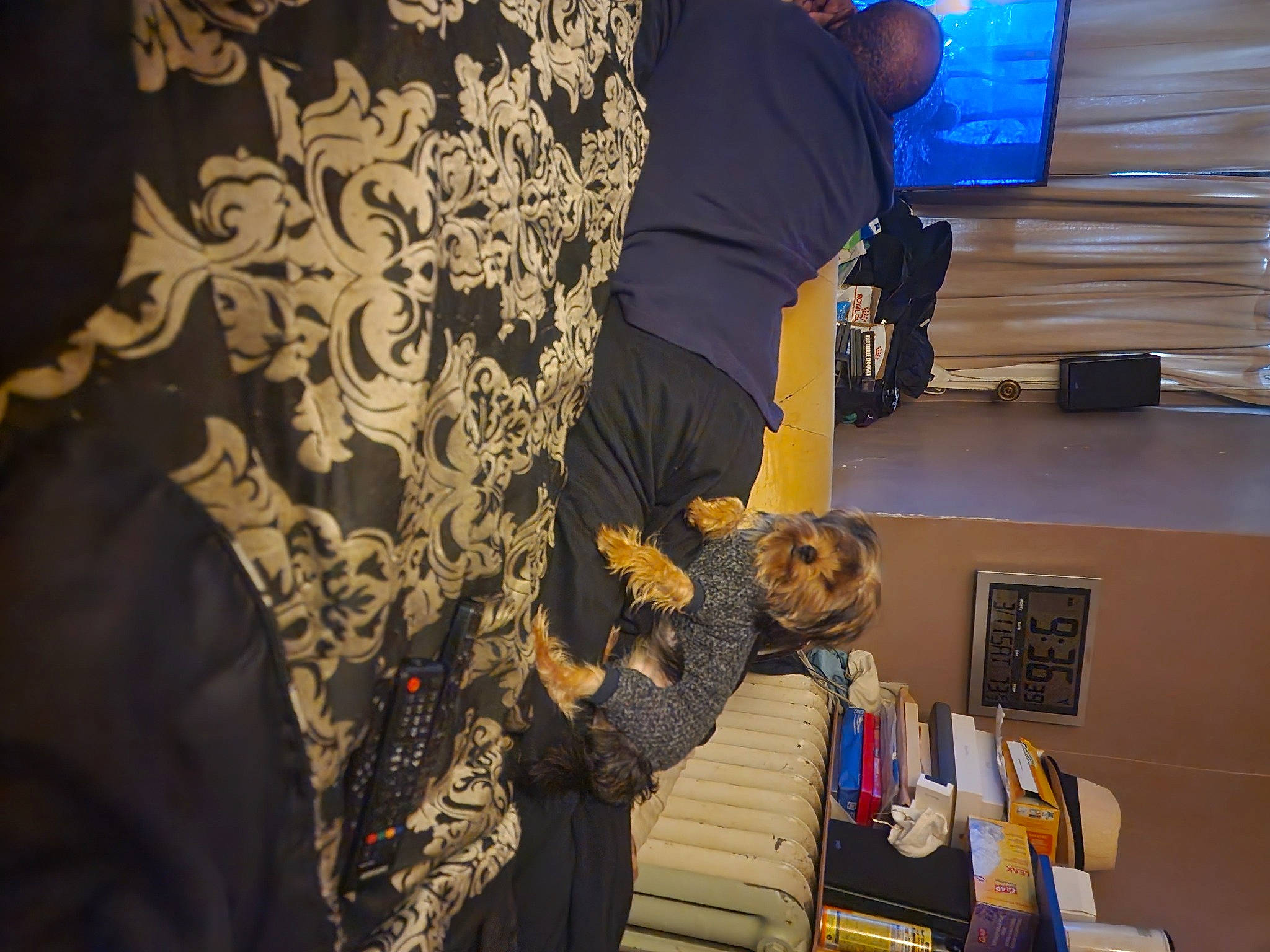 Cairo Monroe joined the competition — help win amazing prizes! art, audio_equipment, backpack, bag, box, display_device, event, fashion_design, flooring, hat, led_backlit_lcd_display, linens, luggage_and_bags, pattern, room, shipping_box, sportswear, t_shirt, television_set, visual_arts