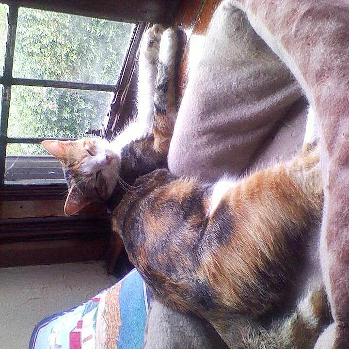 Tara joined the competition — help win amazing prizes!